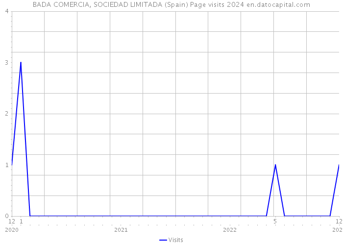 BADA COMERCIA, SOCIEDAD LIMITADA (Spain) Page visits 2024 