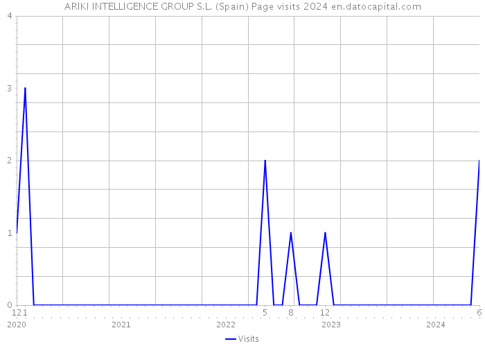 ARIKI INTELLIGENCE GROUP S.L. (Spain) Page visits 2024 