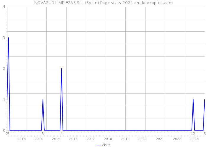 NOVASUR LIMPIEZAS S.L. (Spain) Page visits 2024 