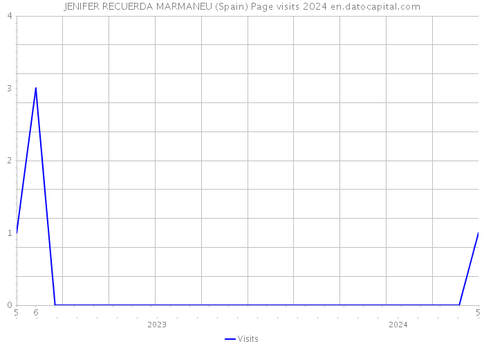 JENIFER RECUERDA MARMANEU (Spain) Page visits 2024 