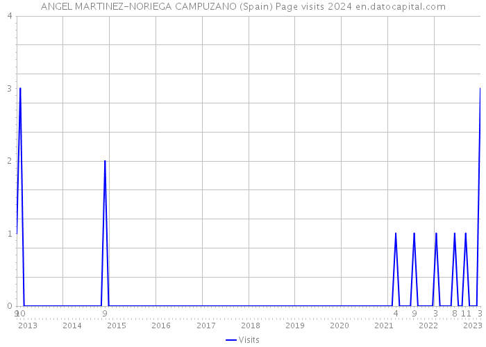 ANGEL MARTINEZ-NORIEGA CAMPUZANO (Spain) Page visits 2024 