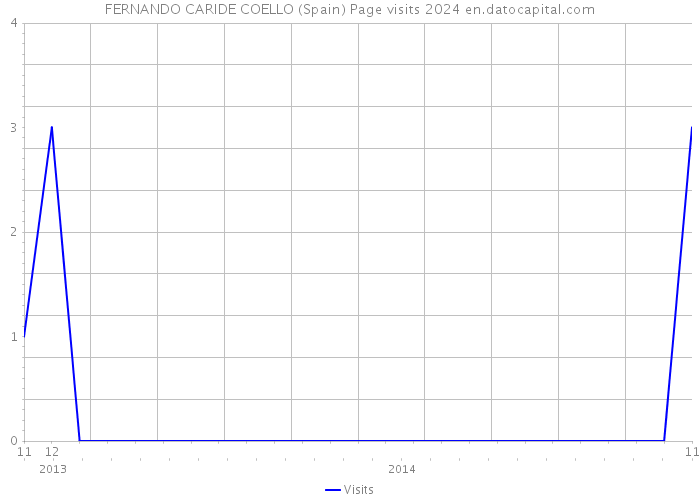 FERNANDO CARIDE COELLO (Spain) Page visits 2024 