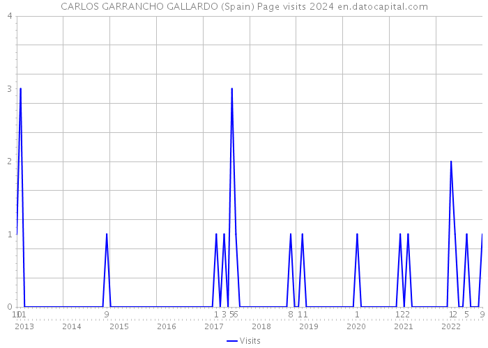 CARLOS GARRANCHO GALLARDO (Spain) Page visits 2024 