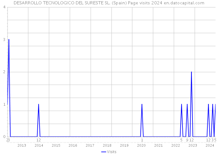 DESARROLLO TECNOLOGICO DEL SURESTE SL. (Spain) Page visits 2024 