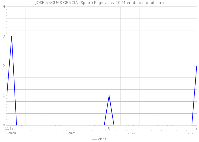 JOSE ANGUAS GRACIA (Spain) Page visits 2024 