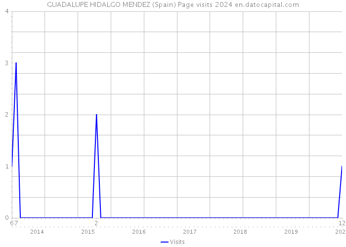 GUADALUPE HIDALGO MENDEZ (Spain) Page visits 2024 