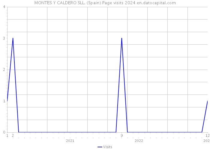 MONTES Y CALDERO SLL. (Spain) Page visits 2024 