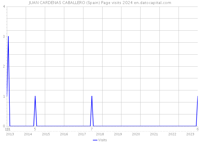 JUAN CARDENAS CABALLERO (Spain) Page visits 2024 
