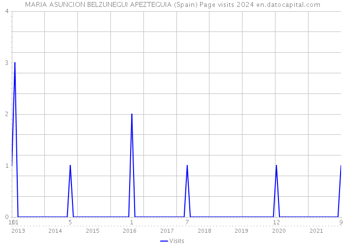 MARIA ASUNCION BELZUNEGUI APEZTEGUIA (Spain) Page visits 2024 