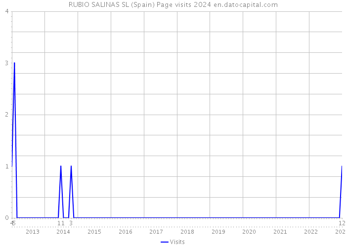 RUBIO SALINAS SL (Spain) Page visits 2024 