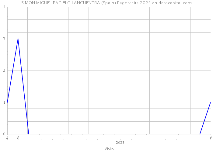 SIMON MIGUEL PACIELO LANCUENTRA (Spain) Page visits 2024 