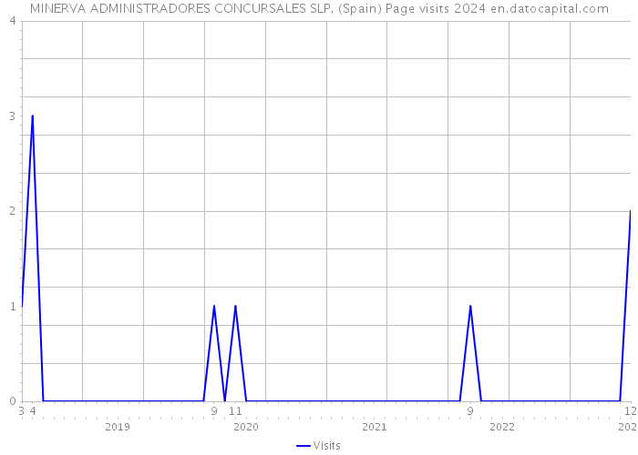 MINERVA ADMINISTRADORES CONCURSALES SLP. (Spain) Page visits 2024 