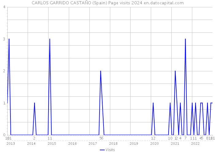 CARLOS GARRIDO CASTAÑO (Spain) Page visits 2024 