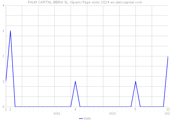 PALM CAPITAL IBERIA SL. (Spain) Page visits 2024 