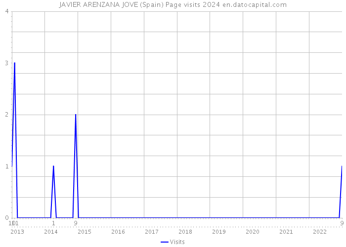 JAVIER ARENZANA JOVE (Spain) Page visits 2024 