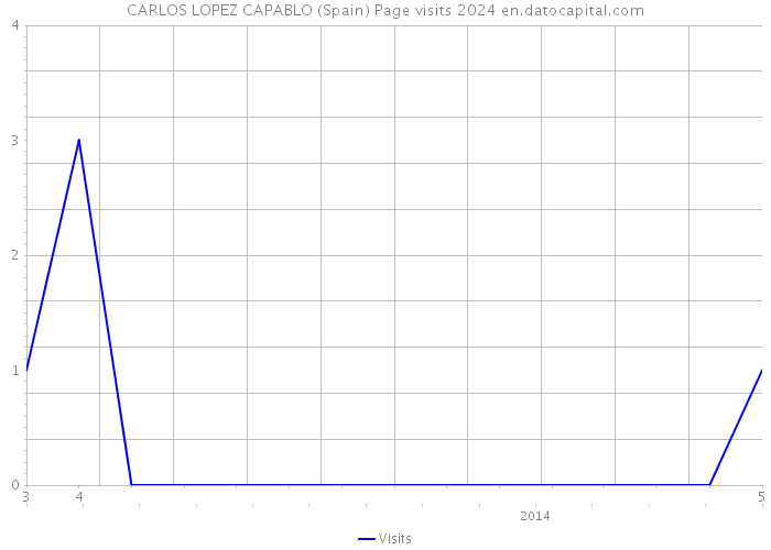 CARLOS LOPEZ CAPABLO (Spain) Page visits 2024 