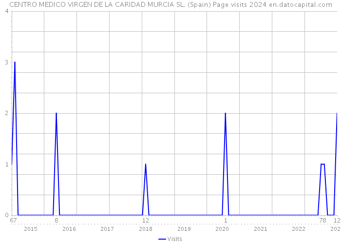 CENTRO MEDICO VIRGEN DE LA CARIDAD MURCIA SL. (Spain) Page visits 2024 