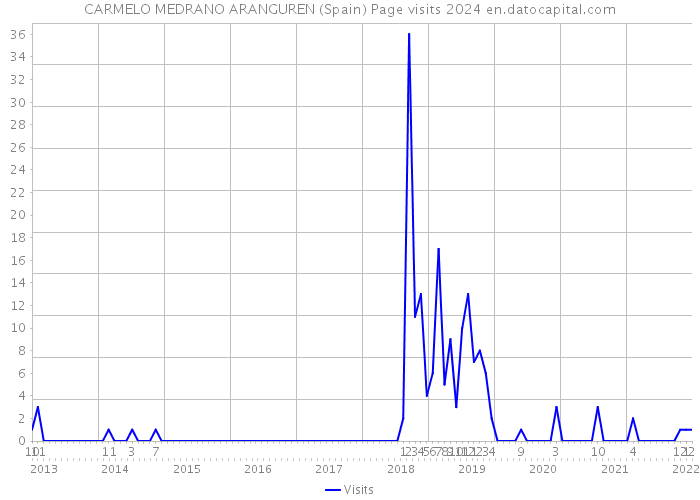 CARMELO MEDRANO ARANGUREN (Spain) Page visits 2024 