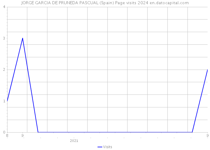 JORGE GARCIA DE PRUNEDA PASCUAL (Spain) Page visits 2024 
