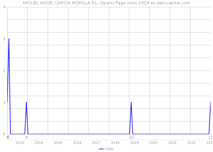 MIGUEL ANGEL GARCIA MORILLA S.L. (Spain) Page visits 2024 