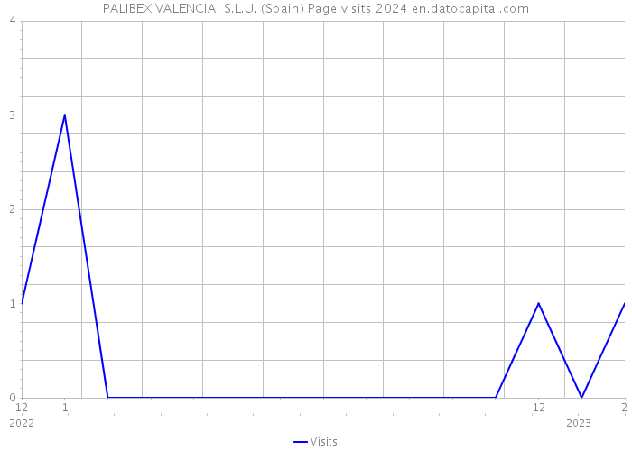 PALIBEX VALENCIA, S.L.U. (Spain) Page visits 2024 