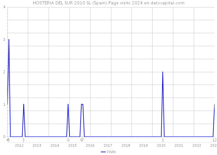HOSTERIA DEL SUR 2010 SL (Spain) Page visits 2024 