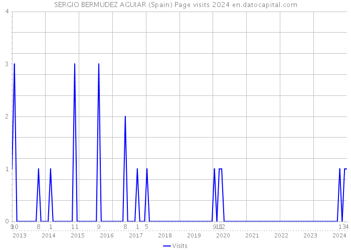 SERGIO BERMUDEZ AGUIAR (Spain) Page visits 2024 