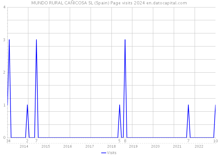 MUNDO RURAL CAÑICOSA SL (Spain) Page visits 2024 