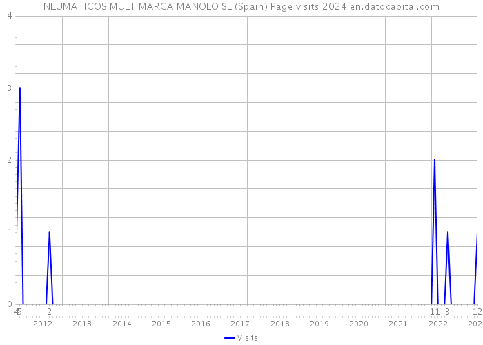NEUMATICOS MULTIMARCA MANOLO SL (Spain) Page visits 2024 
