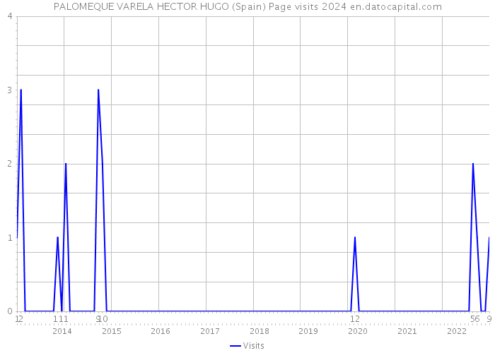 PALOMEQUE VARELA HECTOR HUGO (Spain) Page visits 2024 