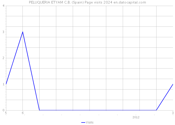 PELUQUERIA ETYAM C.B. (Spain) Page visits 2024 