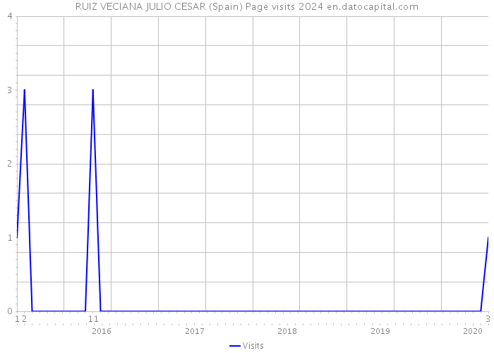 RUIZ VECIANA JULIO CESAR (Spain) Page visits 2024 