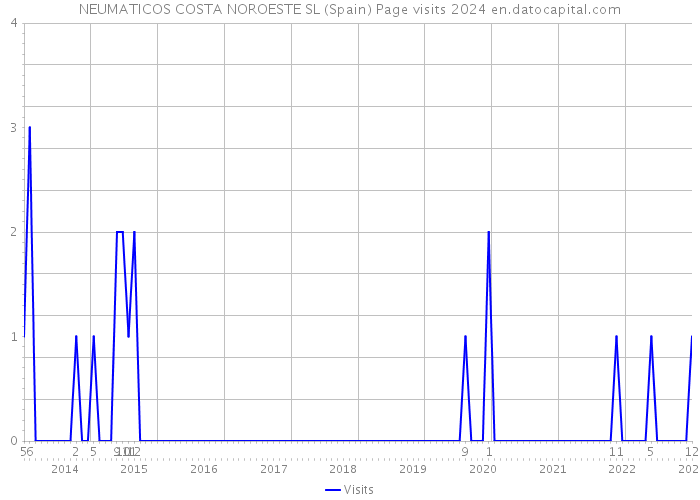 NEUMATICOS COSTA NOROESTE SL (Spain) Page visits 2024 