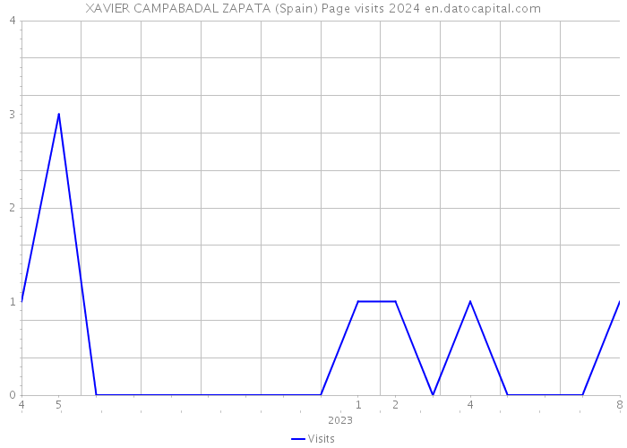 XAVIER CAMPABADAL ZAPATA (Spain) Page visits 2024 