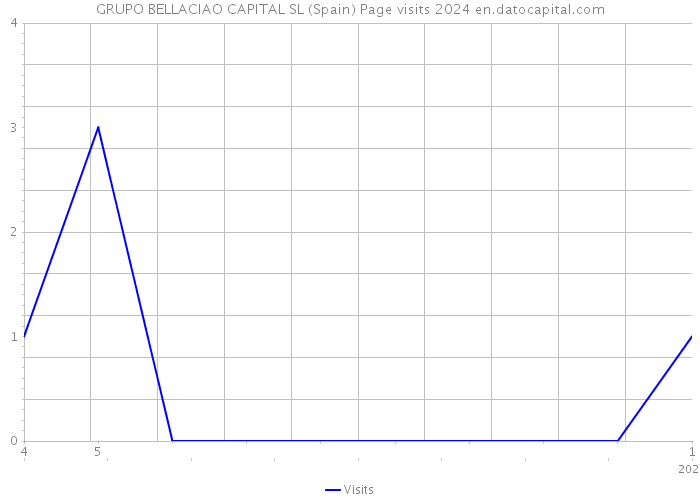 GRUPO BELLACIAO CAPITAL SL (Spain) Page visits 2024 