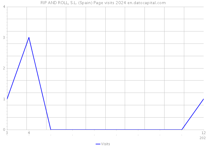 RIP AND ROLL, S.L. (Spain) Page visits 2024 