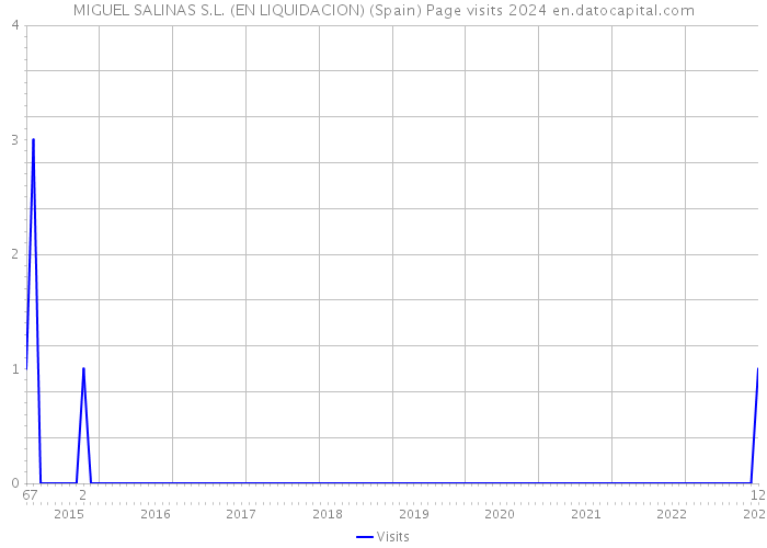 MIGUEL SALINAS S.L. (EN LIQUIDACION) (Spain) Page visits 2024 