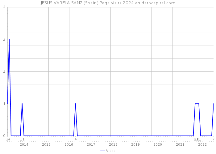 JESUS VARELA SANZ (Spain) Page visits 2024 