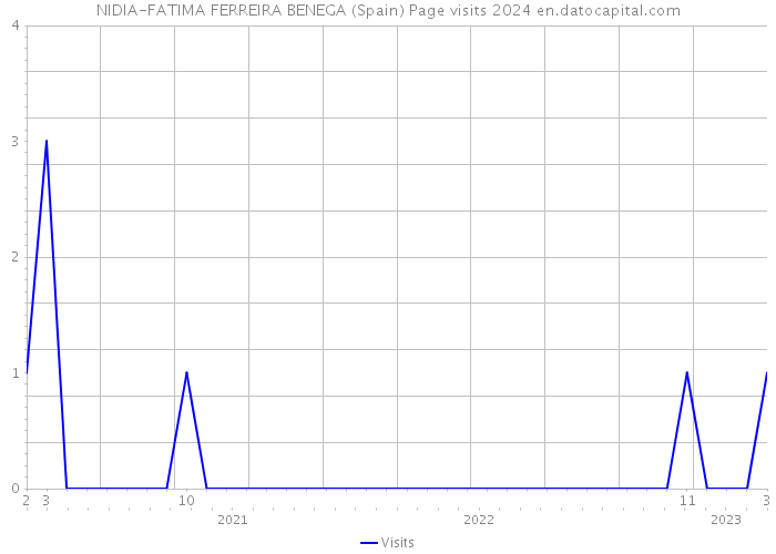NIDIA-FATIMA FERREIRA BENEGA (Spain) Page visits 2024 