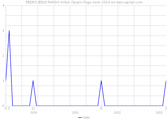PEDRO JESUS PARDO AVILA (Spain) Page visits 2024 