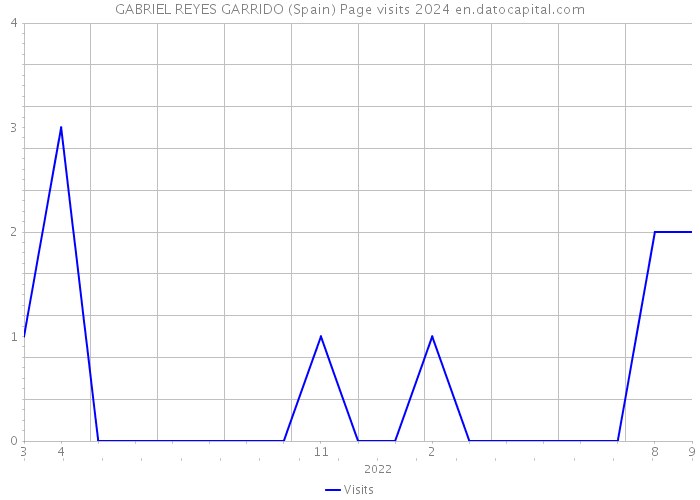 GABRIEL REYES GARRIDO (Spain) Page visits 2024 
