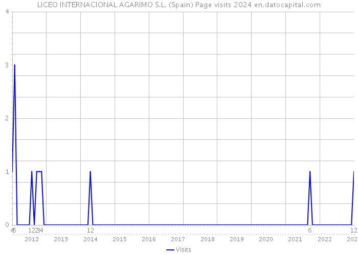 LICEO INTERNACIONAL AGARIMO S.L. (Spain) Page visits 2024 