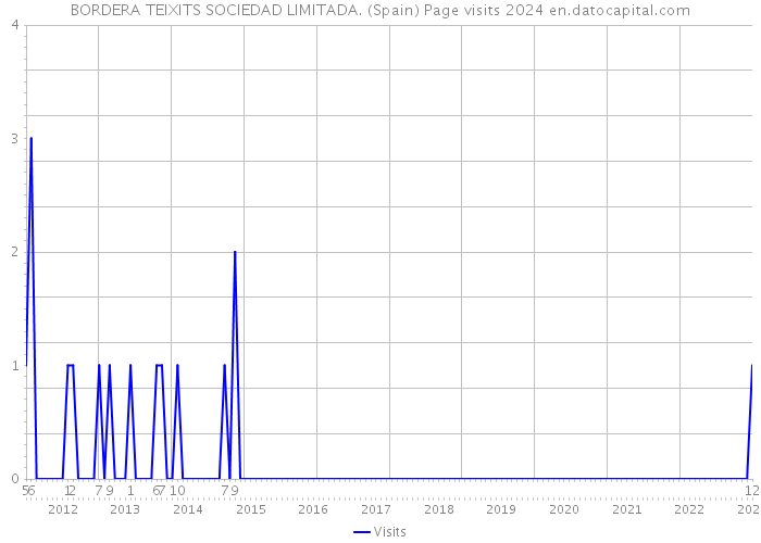 BORDERA TEIXITS SOCIEDAD LIMITADA. (Spain) Page visits 2024 