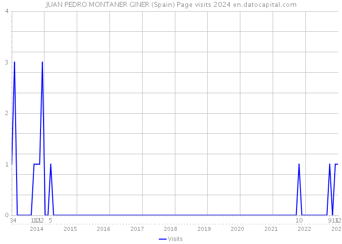 JUAN PEDRO MONTANER GINER (Spain) Page visits 2024 