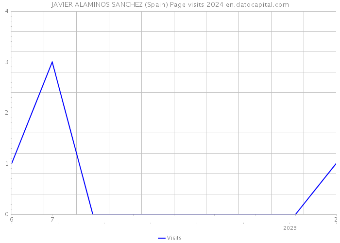 JAVIER ALAMINOS SANCHEZ (Spain) Page visits 2024 