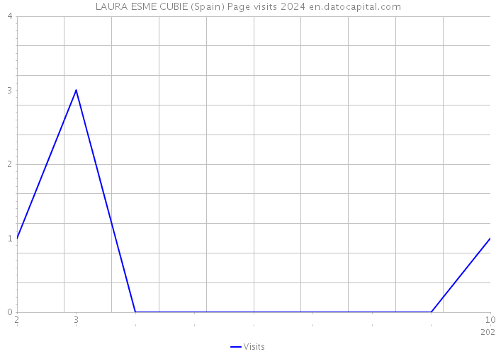 LAURA ESME CUBIE (Spain) Page visits 2024 
