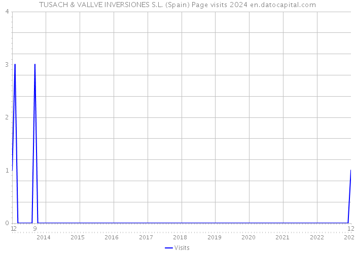 TUSACH & VALLVE INVERSIONES S.L. (Spain) Page visits 2024 