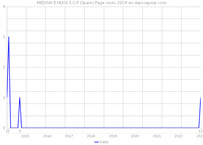 MEDINA E HIJOS S.C.P (Spain) Page visits 2024 