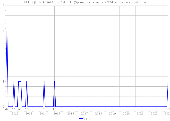 PELUQUERIA SALOBRENA SLL. (Spain) Page visits 2024 