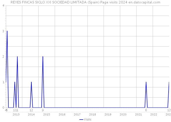 REYES FINCAS SIGLO XXI SOCIEDAD LIMITADA (Spain) Page visits 2024 